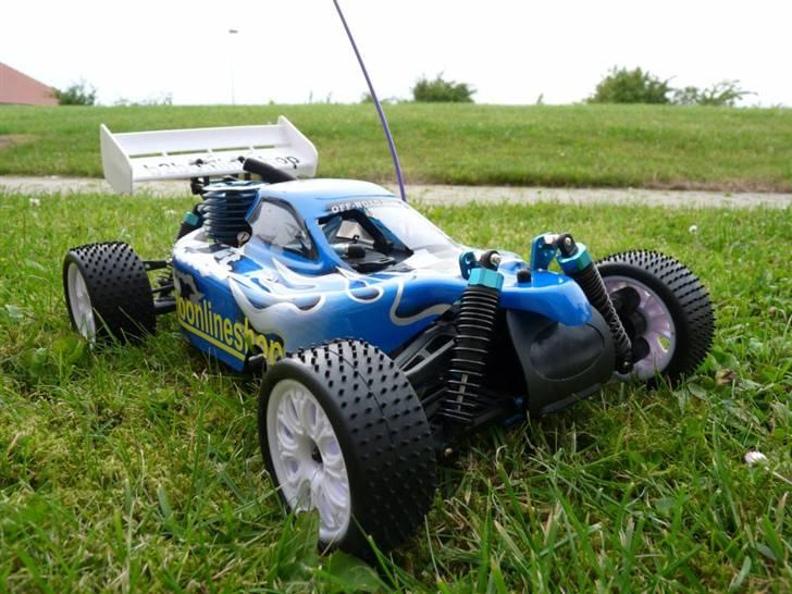 Buggy Leopard billede 4