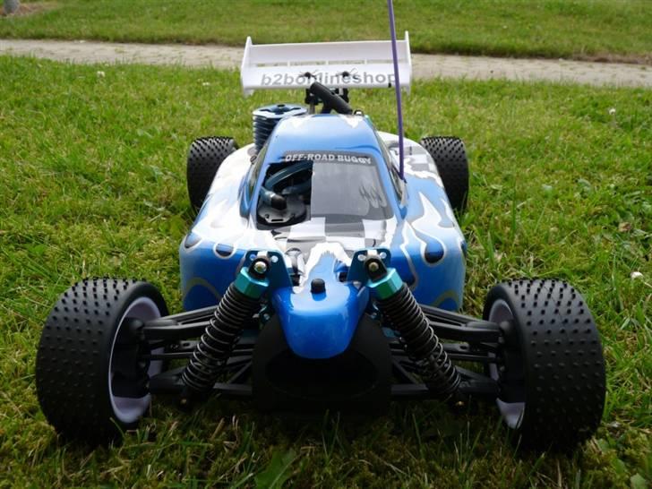 Buggy Leopard billede 5