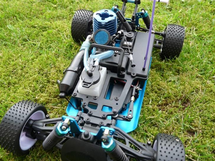 Buggy Leopard billede 6