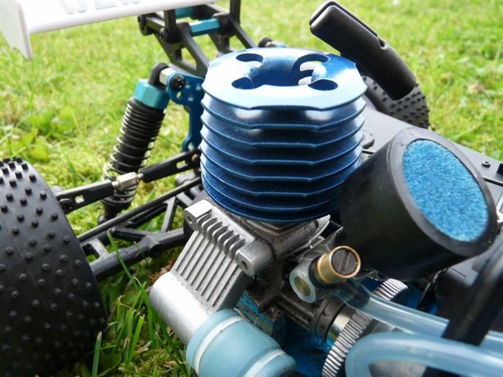 Buggy Leopard billede 7