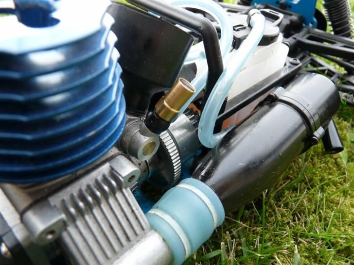 Buggy Leopard billede 8