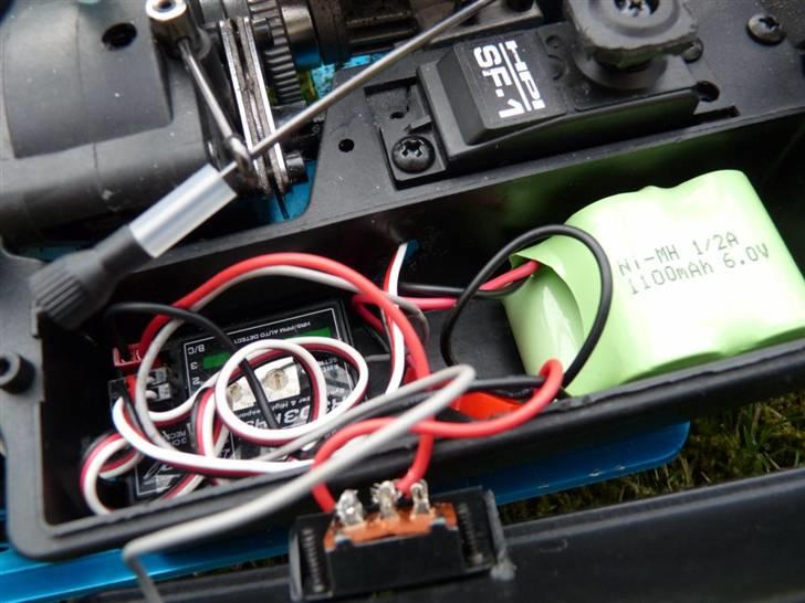 Buggy Leopard billede 9