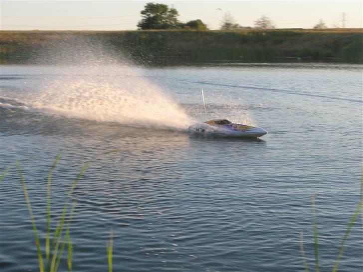 Båd Arrow Shark Octane 45 billede 7