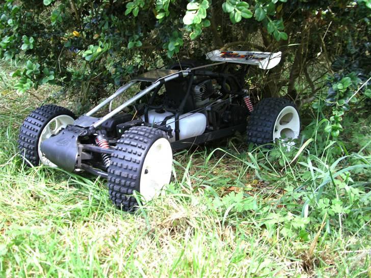 Buggy FG Baja (White Tiger) billede 1