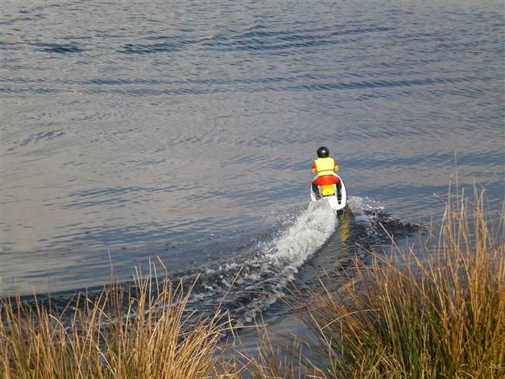 Båd                  SEA-JET Robbe billede 5