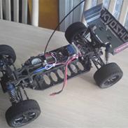 Buggy Kyosho Lazer zx-5
