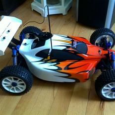 Buggy Koysho Inferno US Sports 