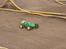 Off-Roader Hong Nor X1/X2-CRT