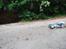 Buggy Himoto RXB-1BL 1:8