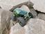 Off-Roader Venom Creeper