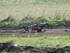 Bil FG Baja Buggy 