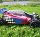 Buggy Elcon Cleon (SOLGT)
