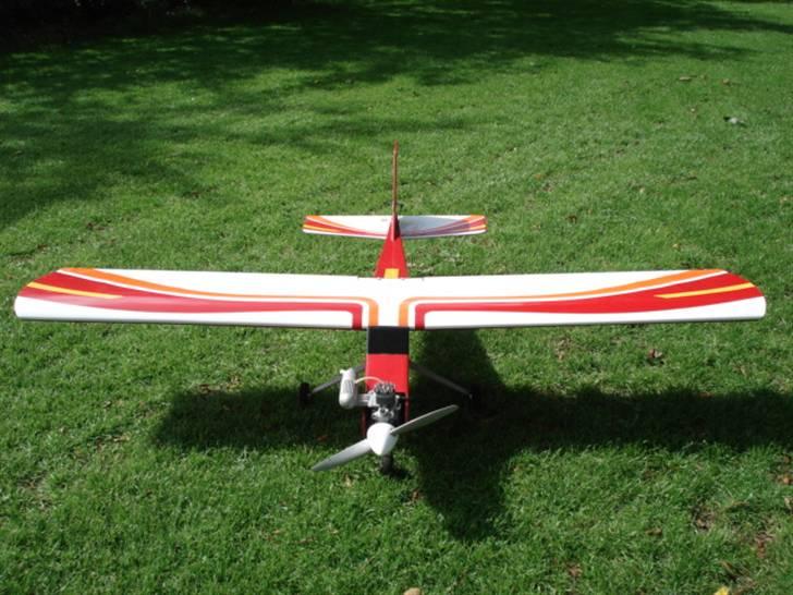 Fly calmato trainer (solgt) billede 1