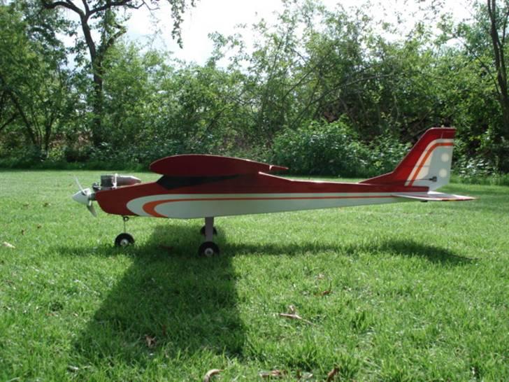 Fly calmato trainer (solgt) billede 3