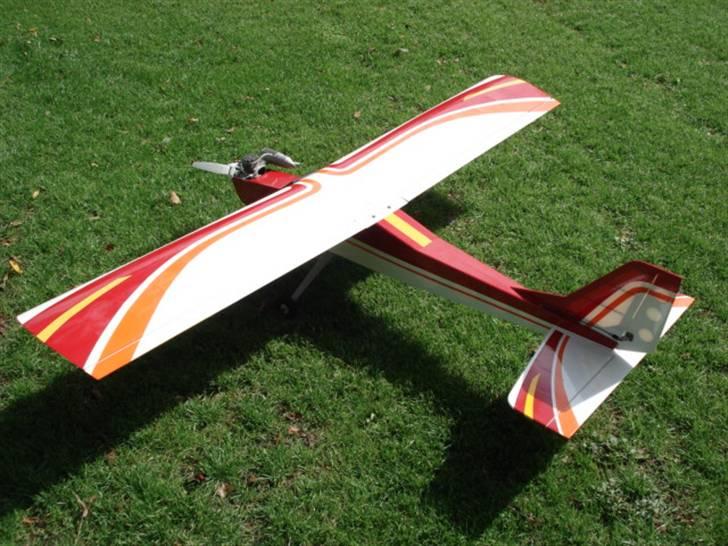 Fly calmato trainer (solgt) billede 5