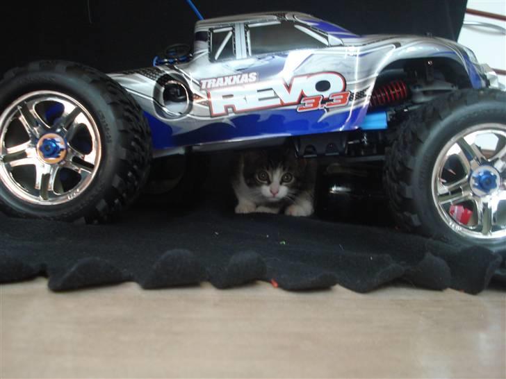 Off-Roader Traxxas Revo 3.3 - Med killer katten.. billede 15