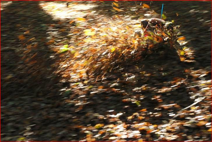 Bil Rustler VXL (SOLGT) - En tur i skoven billede 8