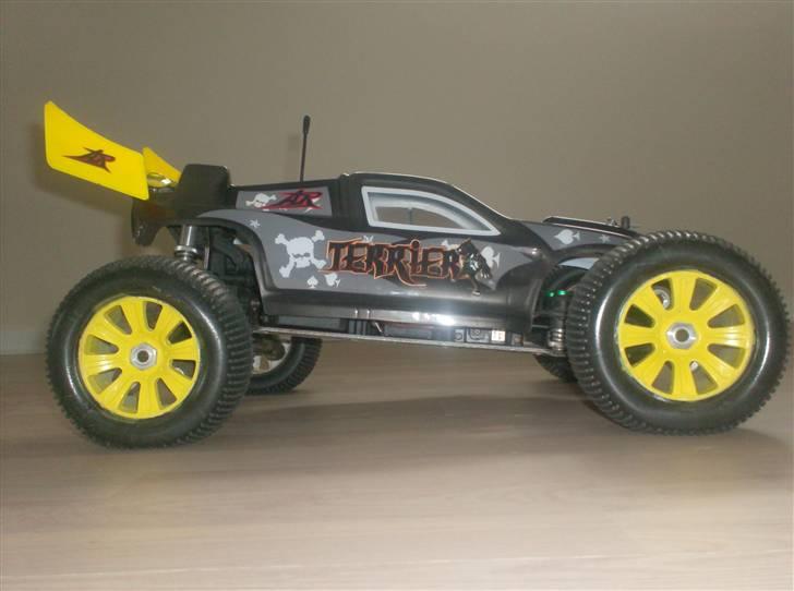 Bil Terrier  billede 1