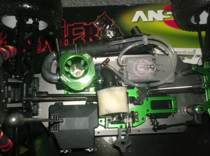 Bil Terrier  billede 2