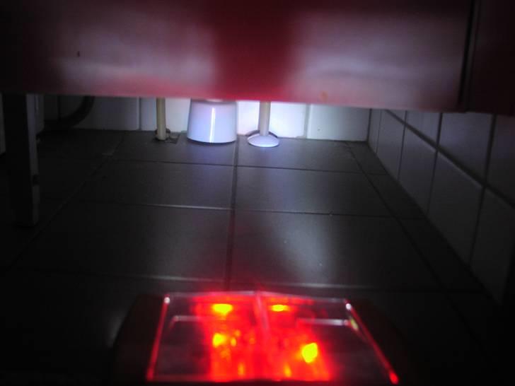 Bil Dodge Charger 1969 billede 5