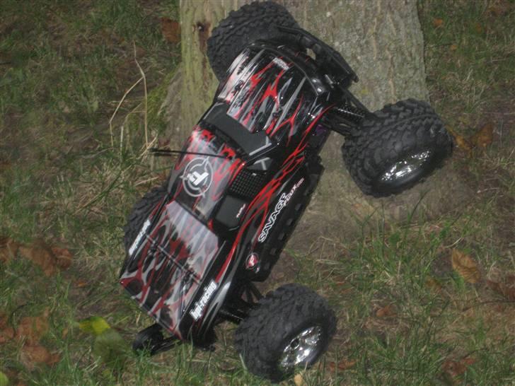 Bil savage flux - den ville garne op i træet men det må den ikke så for jeg den aldrig ned igen. billede 20