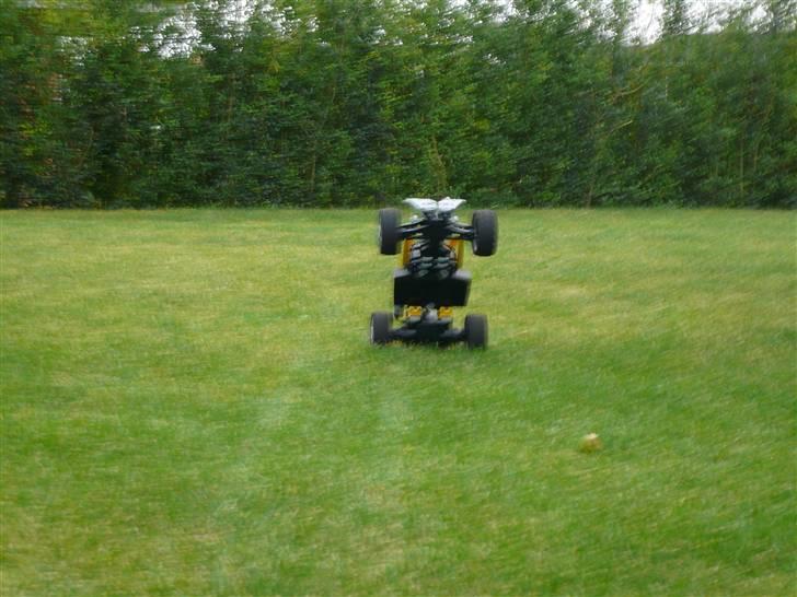 Buggy dirt SOLGT  billede 7