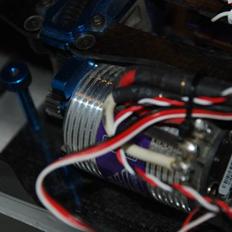 Buggy Associated B44 (SOLGT)