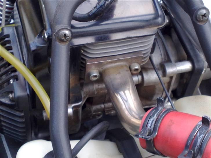 Bil FG Bettle /Marder billede 9