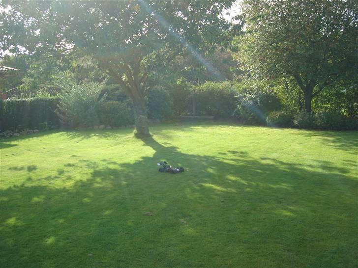 Buggy Hong nor x1xcr - X2cr billede 8