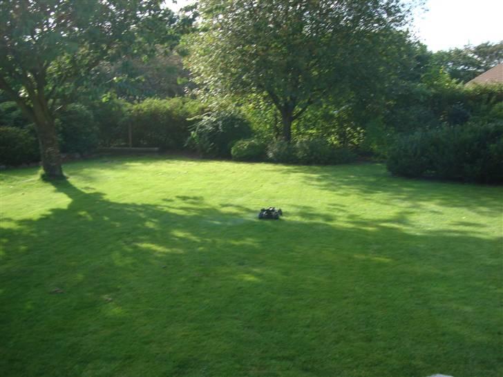 Buggy Hong nor x1xcr - X2cr billede 9