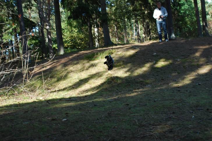 Off-Roader Traxxas Slash 1/16 VXL billede 5