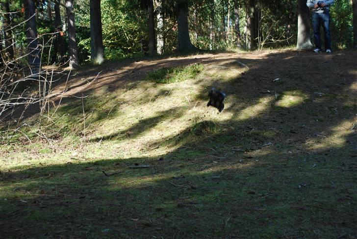 Off-Roader Traxxas Slash 1/16 VXL billede 9