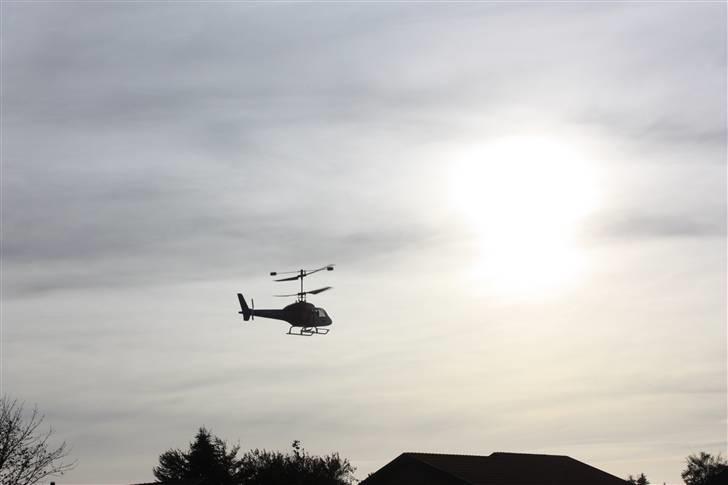 Helikopter big lama billede 13