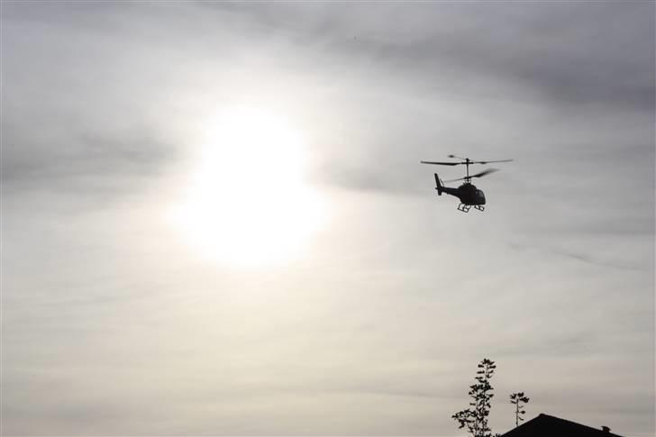 Helikopter big lama billede 14