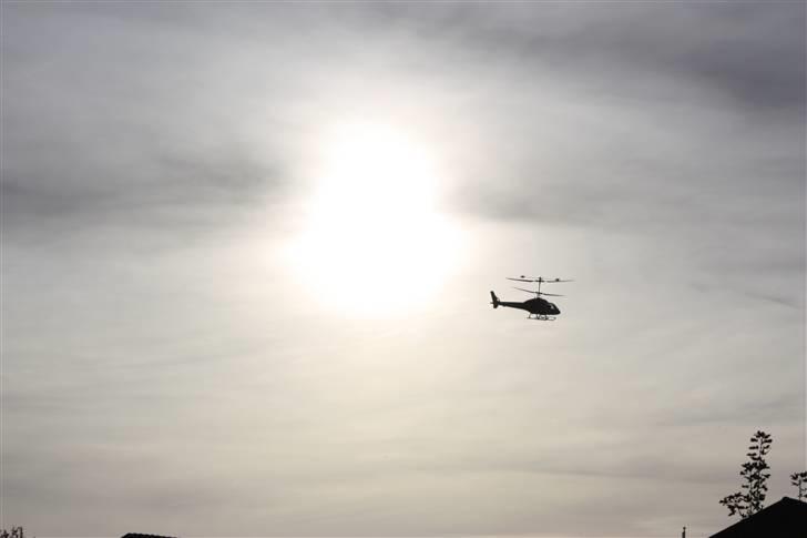 Helikopter big lama billede 15