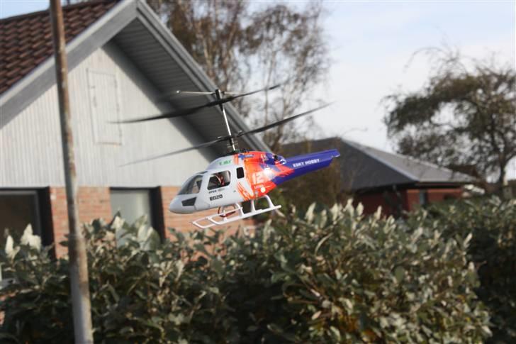 Helikopter big lama - kan også flyve uden hale... hehe billede 16