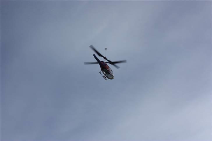 Helikopter big lama billede 17