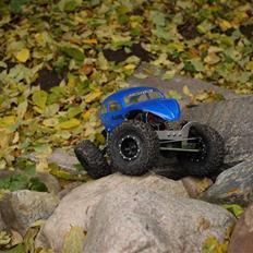 Truck Axial Scorpion AX10