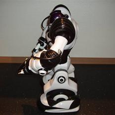 Robot Robosapien