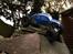 Truck Axial Scorpion AX10