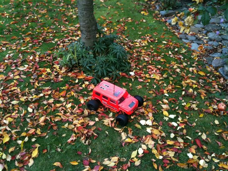 Off-Roader Hpi Firestorm 10T  Solgt! billede 6