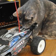 Off-Roader E-revo vxl *SOLGT*