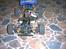 Buggy hbx max buggy xti - og igen fra en anden vinkel