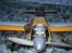 Fly Kyosho Calmato Sport(SMADRET)