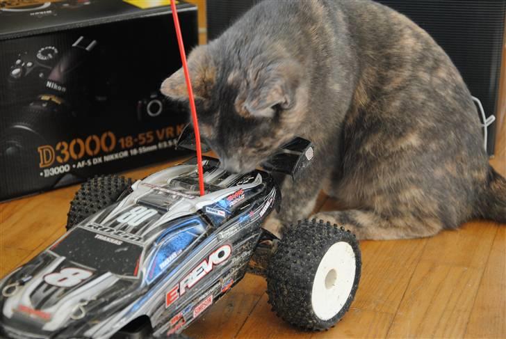 Off-Roader E-revo vxl *SOLGT* - Min mekaniker billede 2