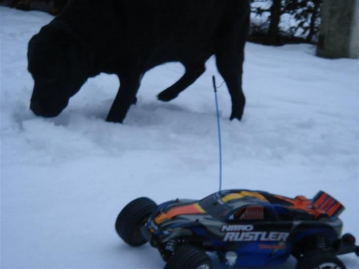 Bil Traxxas Rustler Solgt  billede 14