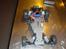Buggy Bandit vxl 1:10