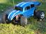 Buggy FG Stadium Beetle PRO