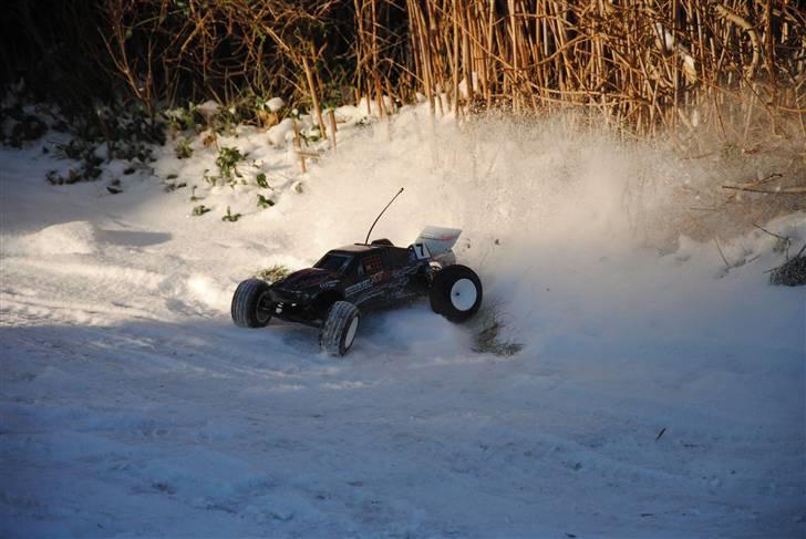 Off-Roader Phoenix XT Brushless billede 9