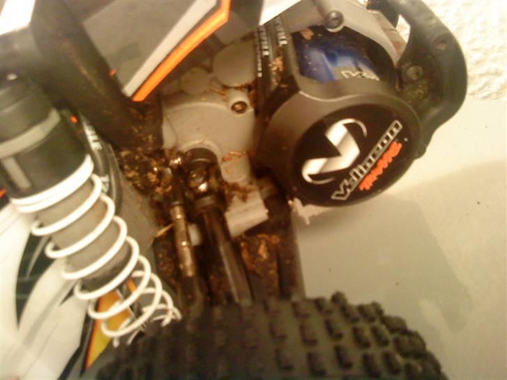 Buggy Bandit vxl billede 7